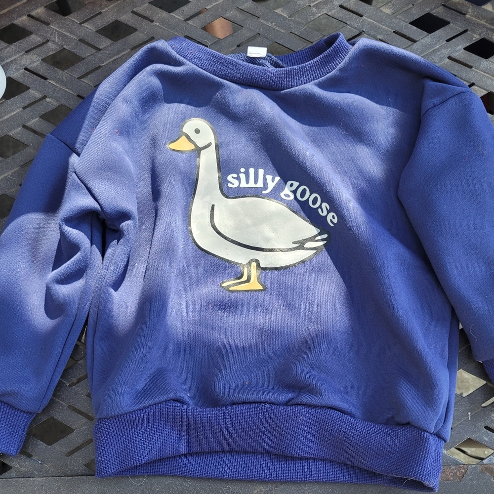 Silly Goose Toddler Sweatshirt | Size 1-2 Years | Blue Crewneck Pullover